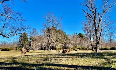 Parcela en Venta en Camino Villarrica - Pedregoso.
