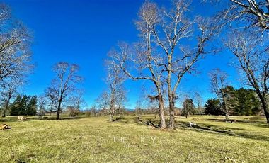 Parcela en Venta en Camino Villarrica - Pedregoso.