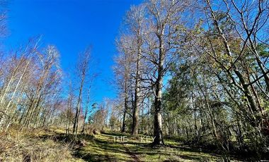 Parcela en Venta en Camino Villarrica - Pedregoso.