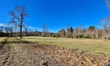Parcela en Venta en Camino Villarrica - Pedregoso.