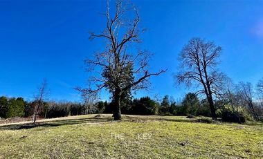 Parcela en Venta en Camino Villarrica - Pedregoso.