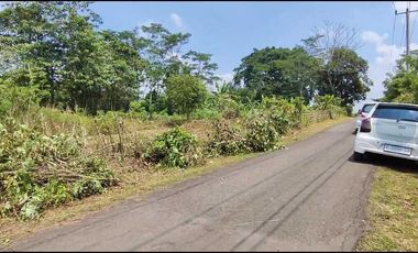 JUAL CEPAT !! TANAH PINGGIR JALAN ASPAL DI KOTA SERANG