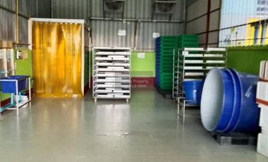 For Sale Factory area 1 rai 1 ngan 300 square meters Nakhon Pathom Sam Phran , Krathum Lom , Sam Phran , Nakhon Pathom , CX-128352