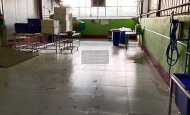 For Sale Factory area 1 rai 1 ngan 300 square meters Nakhon Pathom Sam Phran , Krathum Lom , Sam Phran , Nakhon Pathom , CX-128352