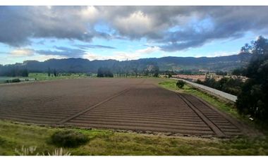 ARRIENDO APARTAMENTO CON VISTA CAMPESTRE EN QUINTO PISO EN CAJICA