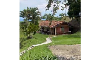 SE VENDE FINCA EN BALBOA