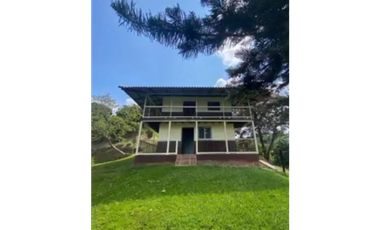 SE VENDE FINCA EN BALBOA