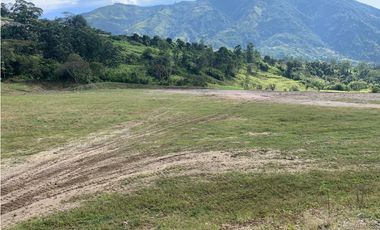 VENTA LOTE INDUSTRIAL AMAG,  - SUROESTE ANTIOQUEÑO