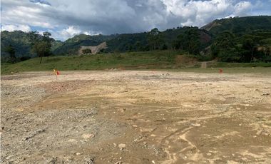 VENTA LOTE INDUSTRIAL AMAG,  - SUROESTE ANTIOQUEÑO