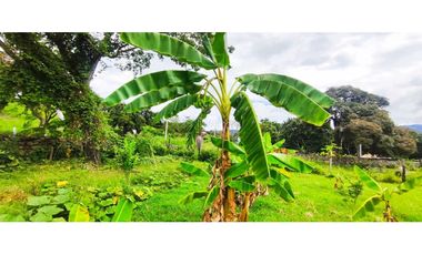 Venta de lote de 1612 M2 en 349 mill en La Mesa Cund, terreno plano