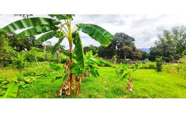 Venta de lote de 1612 M2 en 349 mill en La Mesa Cund, terreno plano