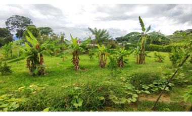 Venta de lote de 1612 M2 en 349 mill en La Mesa Cund, terreno plano