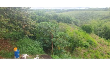 VENTA LOTE LISTO PARA CONSTRUIR VIA CERRITOS LA VIRGINIA PEREIRA