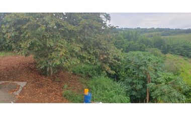 VENTA LOTE LISTO PARA CONSTRUIR VIA CERRITOS LA VIRGINIA PEREIRA