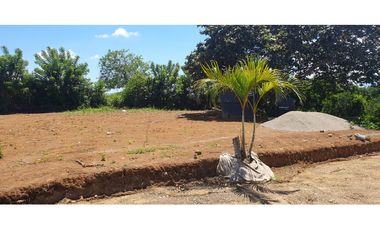 VENTA LOTE LISTO PARA CONSTRUIR VIA CERRITOS LA VIRGINIA PEREIRA