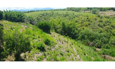 VENTA LOTE LISTO PARA CONSTRUIR VIA CERRITOS LA VIRGINIA PEREIRA