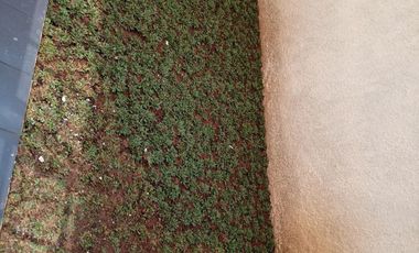 Dijual Rumah Dekat Tol Pamulang, Kampus UT Pondok Cabe Tangsel