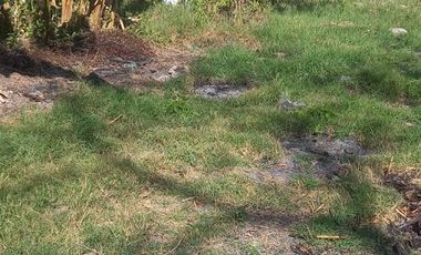 Terreno en Venta en Tamos, Panuco Veracruz.