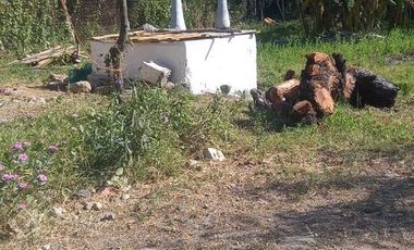 Terreno en Venta en Tamos, Panuco Veracruz.