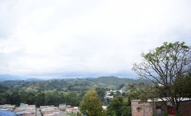 Apartaestudio en Bellavista