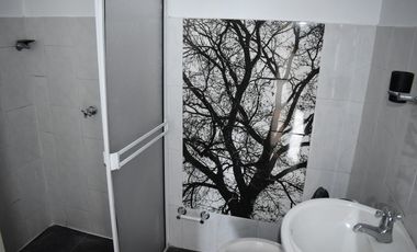 Apartaestudio en Bellavista