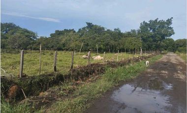 VENDO.3 HECTAREAS EN EL.FRANCES