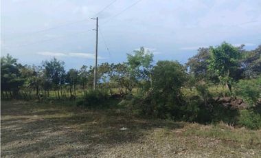 VENDO.3 HECTAREAS EN EL.FRANCES