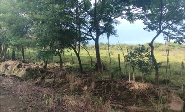 VENDO.3 HECTAREAS EN EL.FRANCES