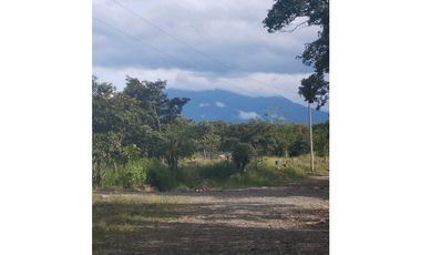 VENDO.3 HECTAREAS EN EL.FRANCES