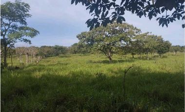 VENDO.3 HECTAREAS EN EL.FRANCES