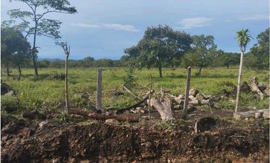 VENDO.3 HECTAREAS EN EL.FRANCES