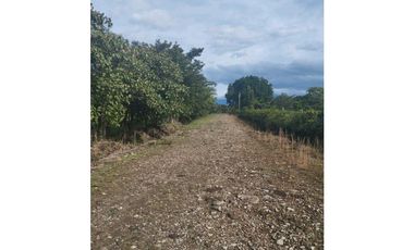 VENDO.3 HECTAREAS EN EL.FRANCES