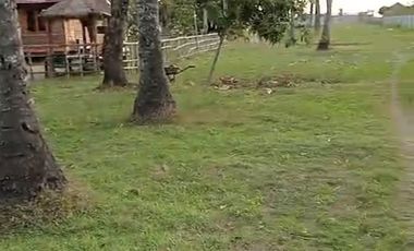 TANAH TEPI PANTAI MONTONG