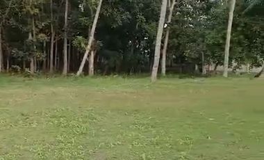 TANAH TEPI PANTAI MONTONG