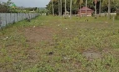 TANAH TEPI PANTAI MONTONG