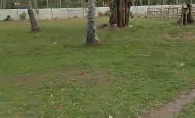 TANAH TEPI PANTAI MONTONG