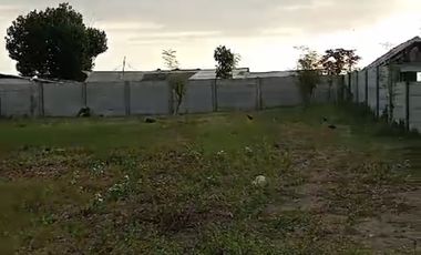 TANAH TEPI PANTAI MONTONG