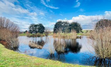 Casa en arriendo en PUERTO VARAS