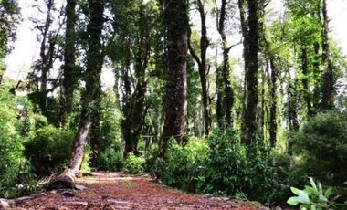 Parcela en Venta en Antillanca