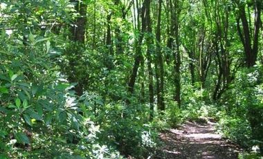 Parcela en Venta en Antillanca