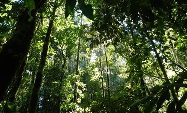 Parcela en Venta en Antillanca