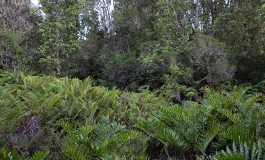 Parcela en Venta en Antillanca