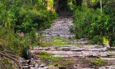 Parcela en Venta en Antillanca