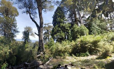 Parcela en Venta en Antillanca