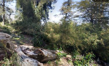 Parcela en Venta en Antillanca