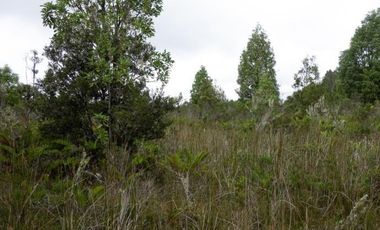 Parcela en Venta en Antillanca