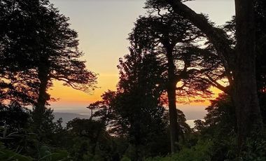 Parcela en Venta en Antillanca