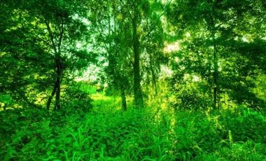 Parcela en Venta en Antillanca