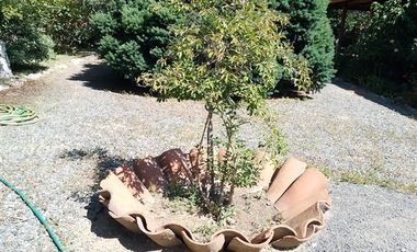 Parcela en Venta en La Reserva