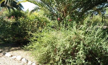 Parcela en Venta en La Reserva